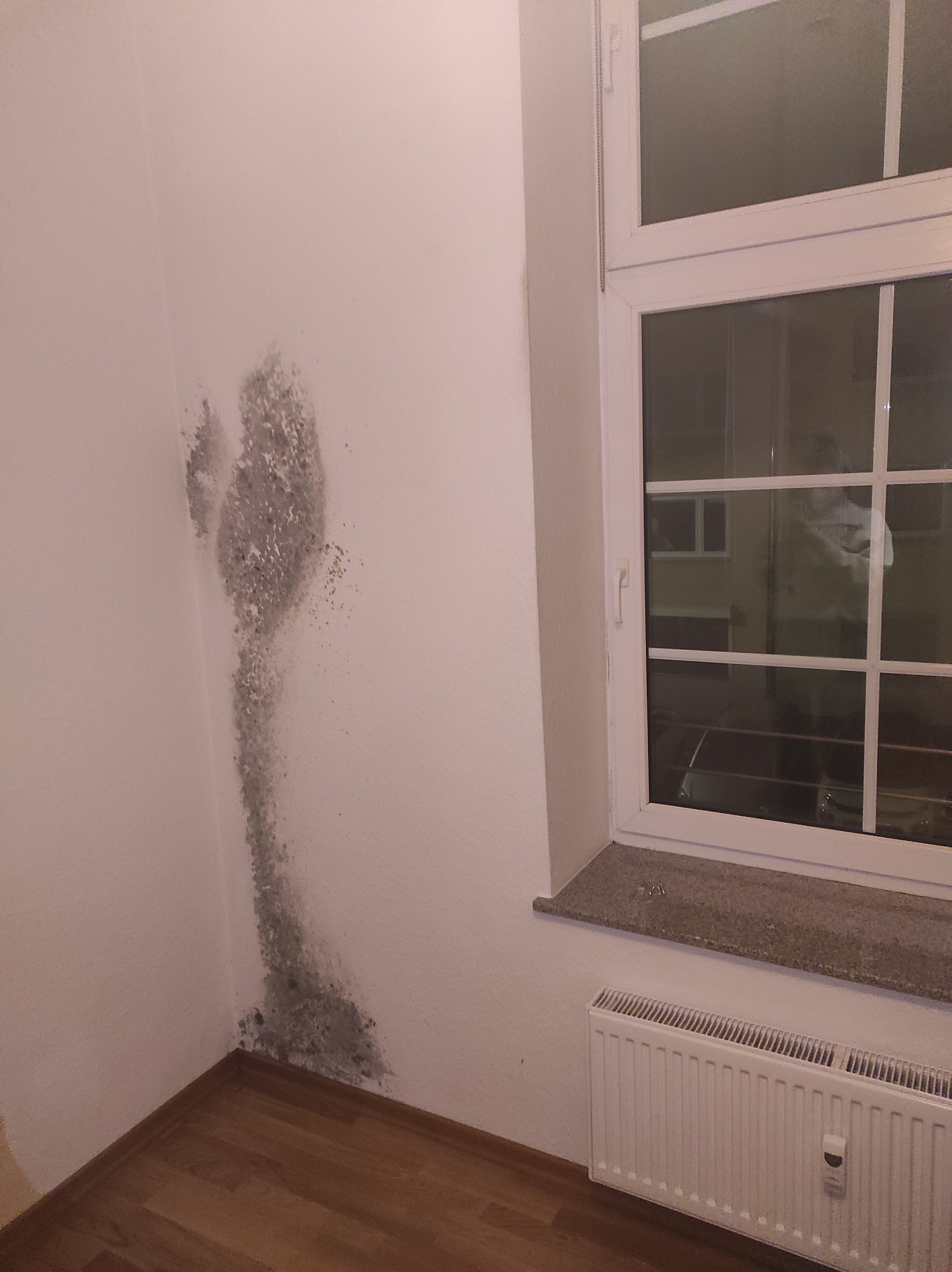 Die Bilder zeigen eine starke Schimmelbildung an einer Wand, an der ein Schrank stand und eine Wärmebildkamera, die unsichtbare Infrarotstrahlung, die von Objekten abgegeben wird, in sichtbare Bilder umwandelt.